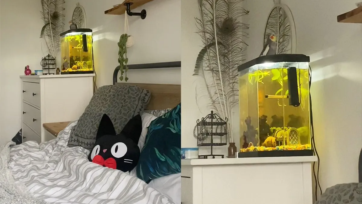 thumb vk het is 7 uur in de ochtend en vogel is lekker aan het fluiten