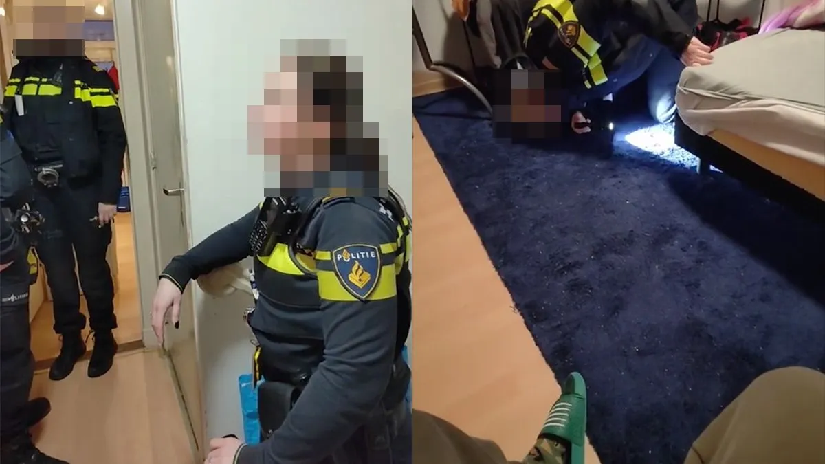 thumb vk man heeft 11 katten in huis dierenarts slaat alarm en politie komt een kijkje nemen