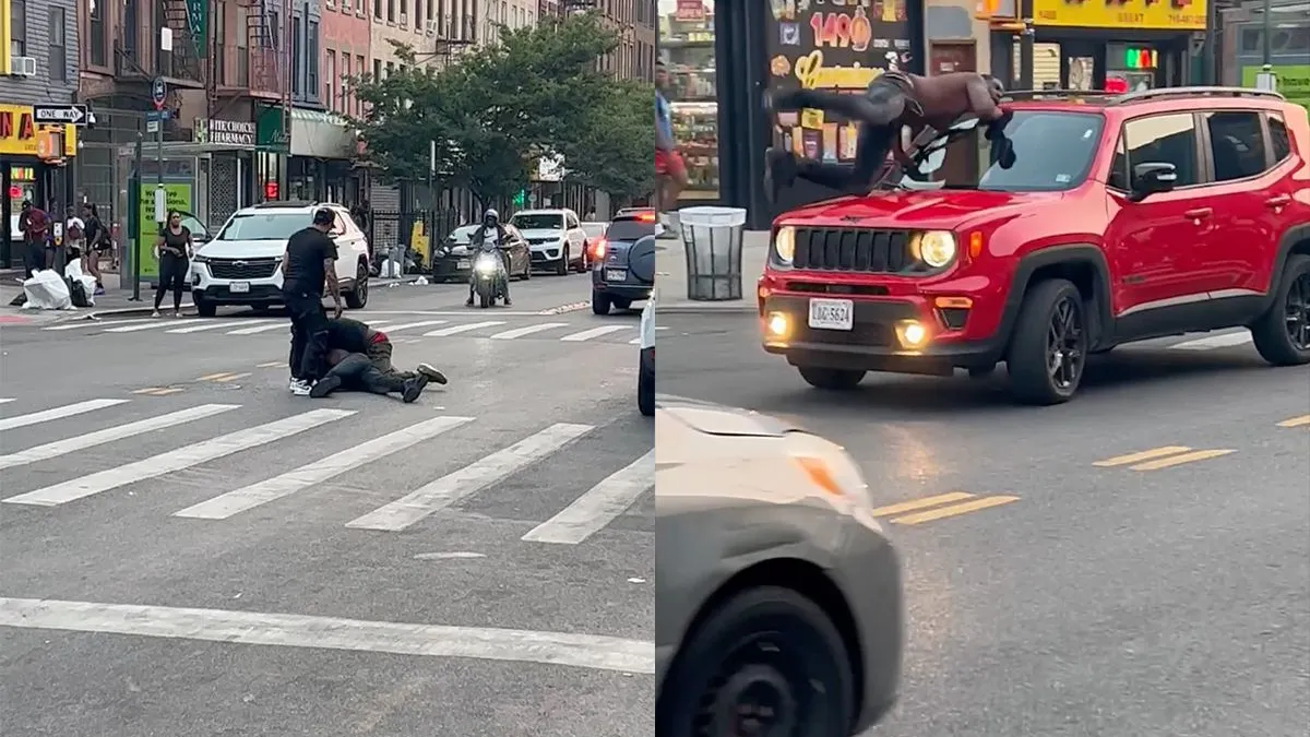 thumb vk new york is nooit saai gewoon een gek gevecht op straat