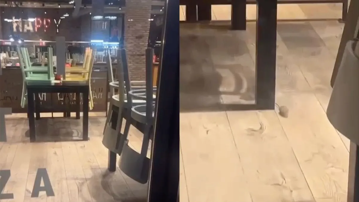 thumb vk opnames voor ratatouille 2 in eindhoven