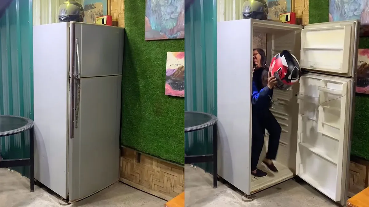 thumb vk vergeet de boekenkast een koelkast met geheime deur heb je nodig in je leven