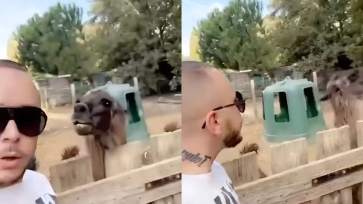 thumb vk wat jij spugen naar mij hier pak aan donderse lama