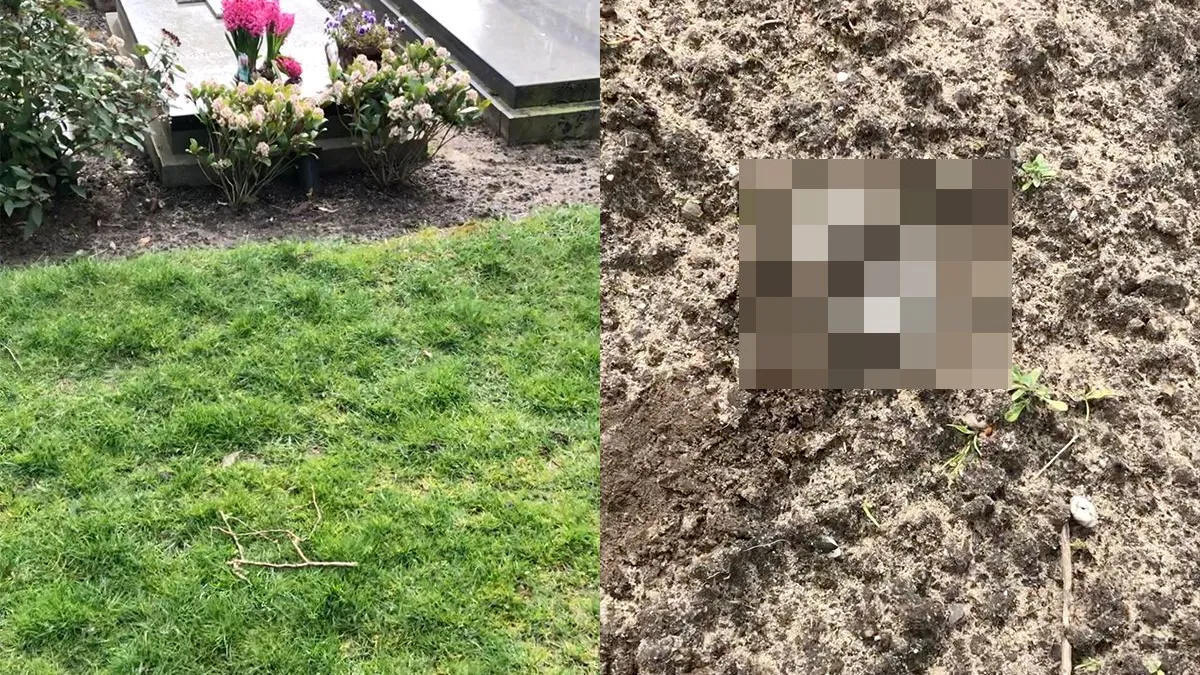thumb vk zijn ze op de begraafplaats in brabant een stukje vergeten