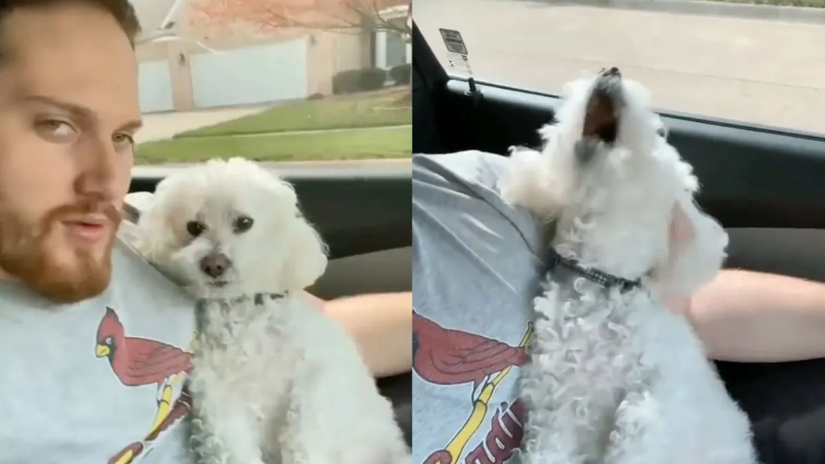 thumb whoooohoooohoooo