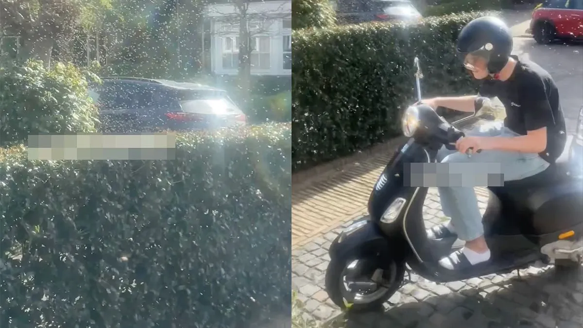 thumb vk dirk is geen hobbyimker en dan zijn heel veel bijen best een probleem