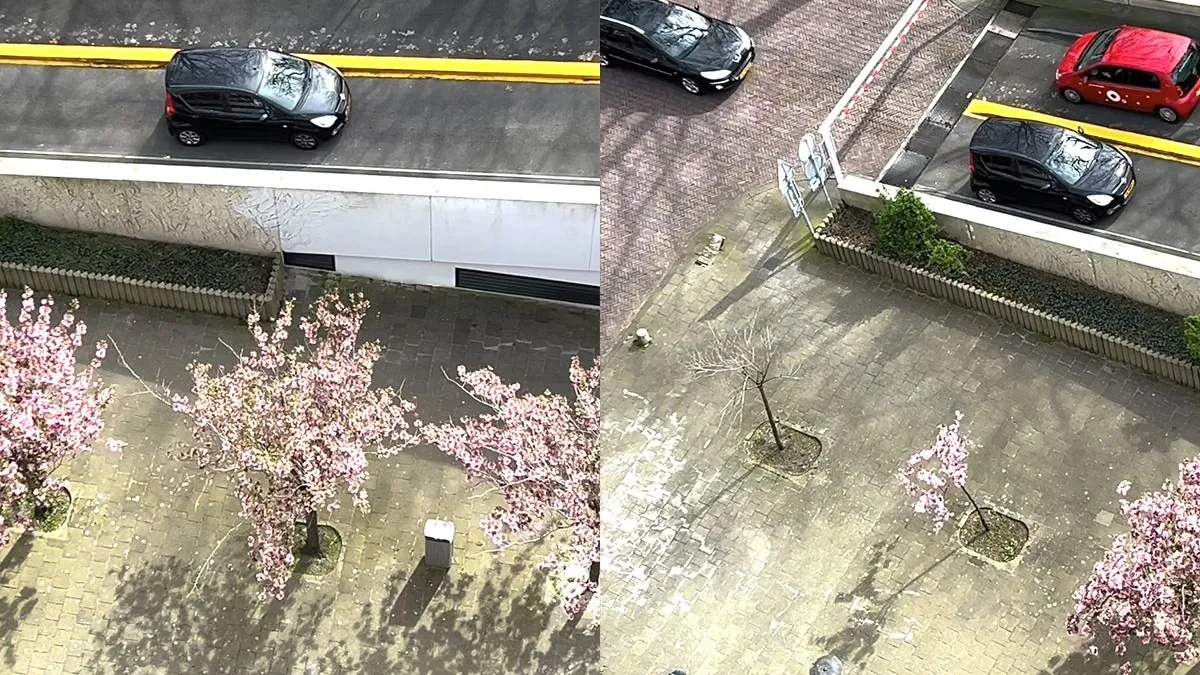 thumb vk man man man als je hellingproef niet onder de knie hebt lever rijbewijs dan maar in