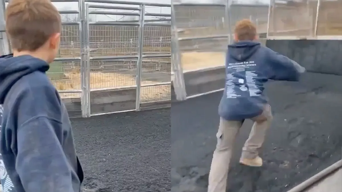 thumb vk mannetje probeert rondje te rennen in stapmolen voor paarden gaat fout