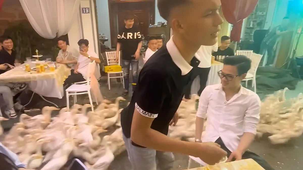 thumb vk this wedding ducks nee daar moest niet sucks staan