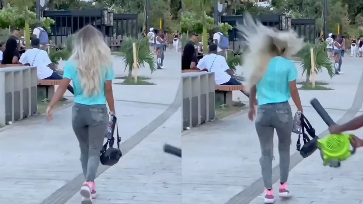 thumb vk vanaf nu wil elke man een bladblazer ook voor gewoon op straat