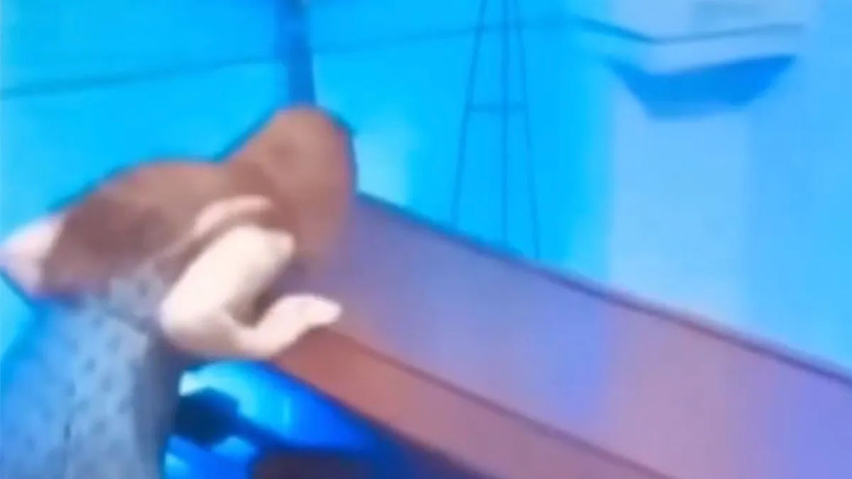 thumb vk vrouw doet slipje uit en legt dit in kist van overleden man