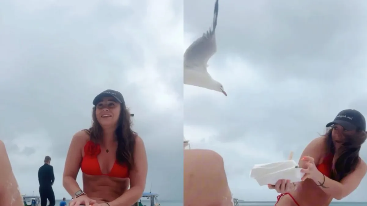 thumb aso aussie meeeuwen