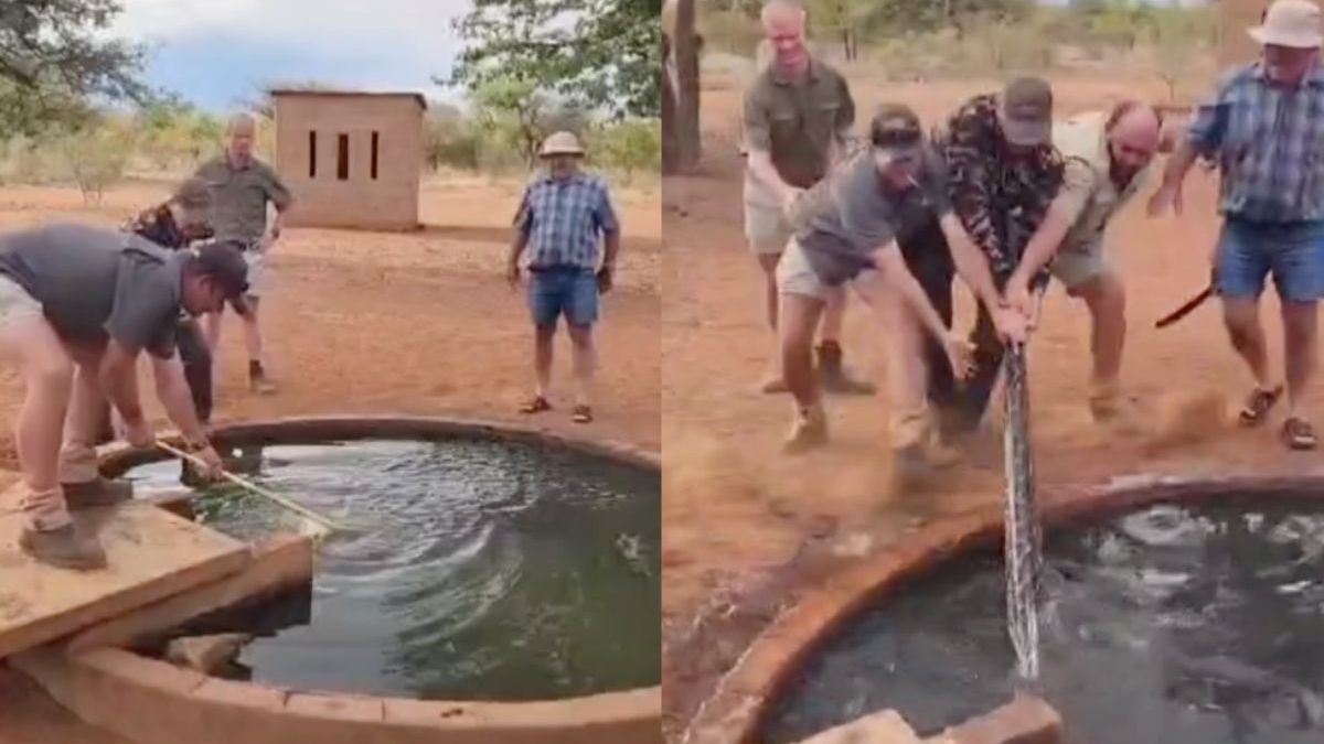 5 man sterk en nog blijft de Zuid-Afrikaanse luislang baas van de drinkplaats