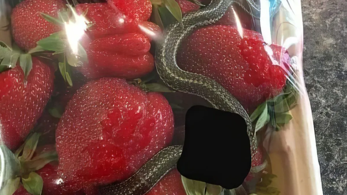 thumb vk gewoon fotos 1914