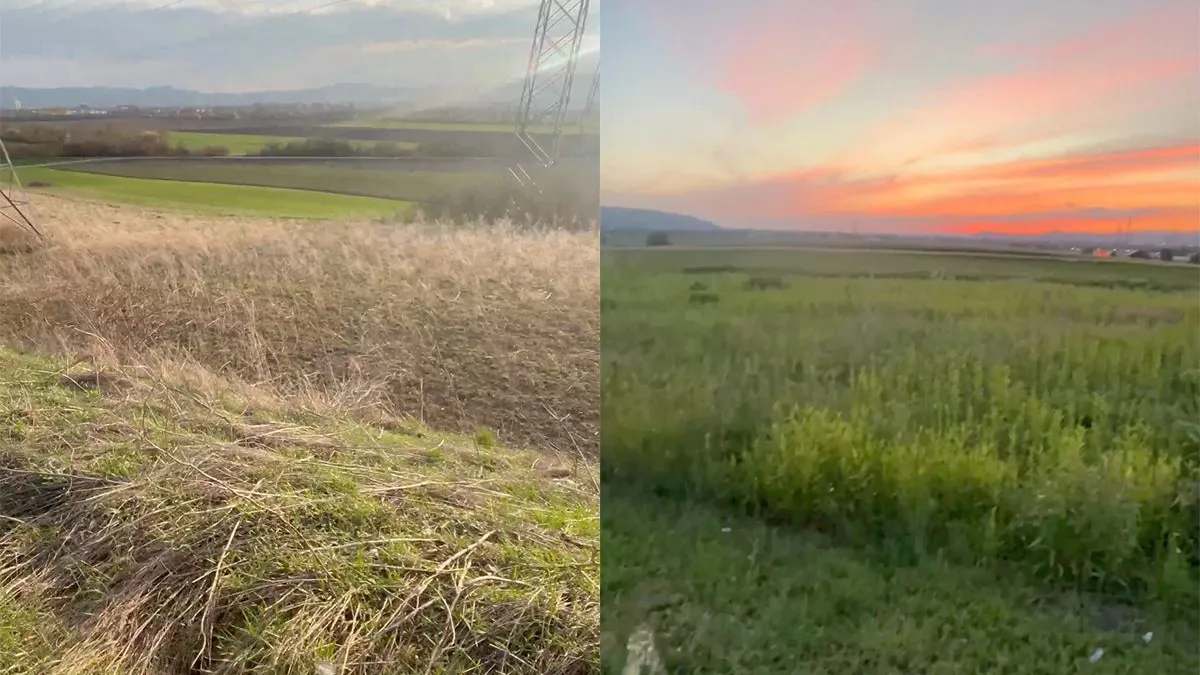 thumb vk lekker pinkelen op mooie plaatsen nieuwe trend op sociale media