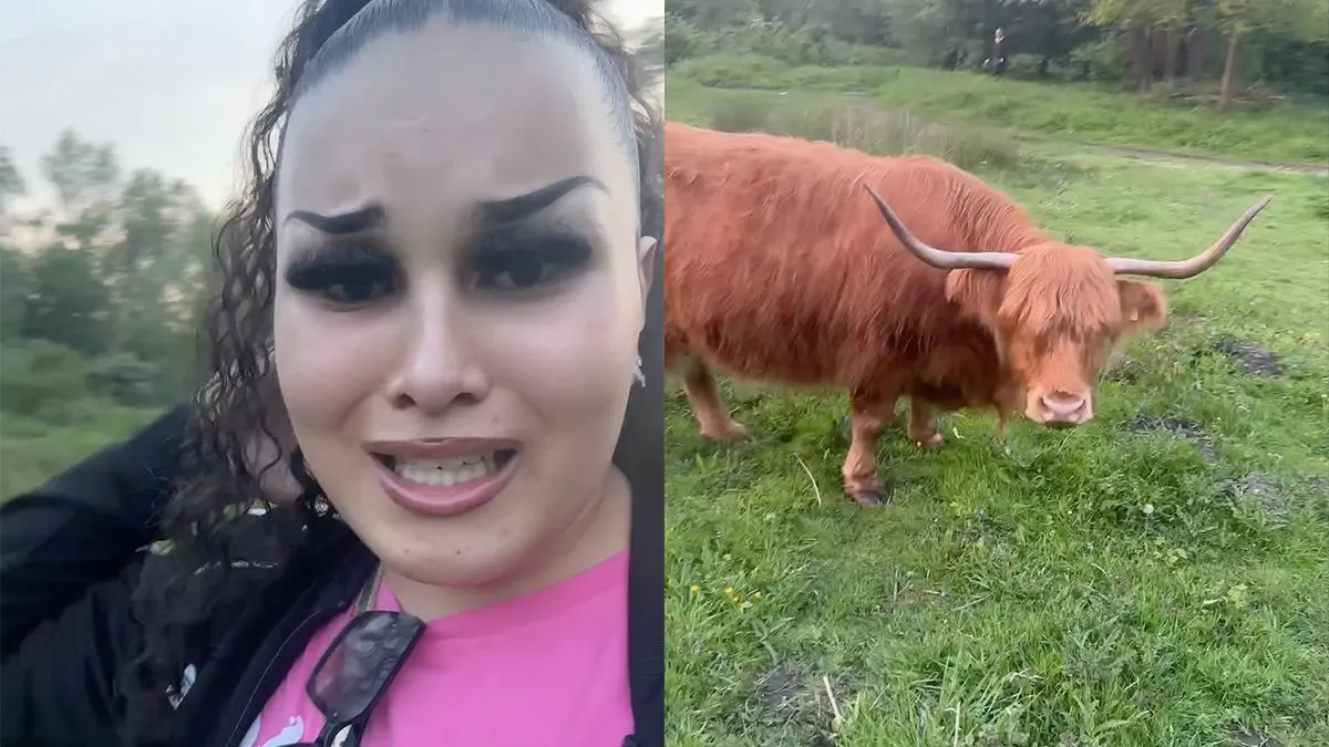 thumb vk ondertussen ergens in nederland omg ik ben in het bos en er is een bizon