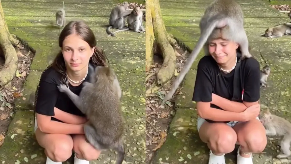 thumb apenbos teabag