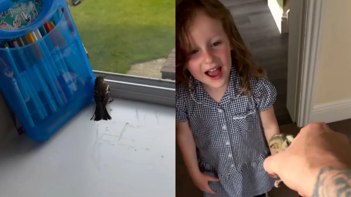 thumb birdie in house