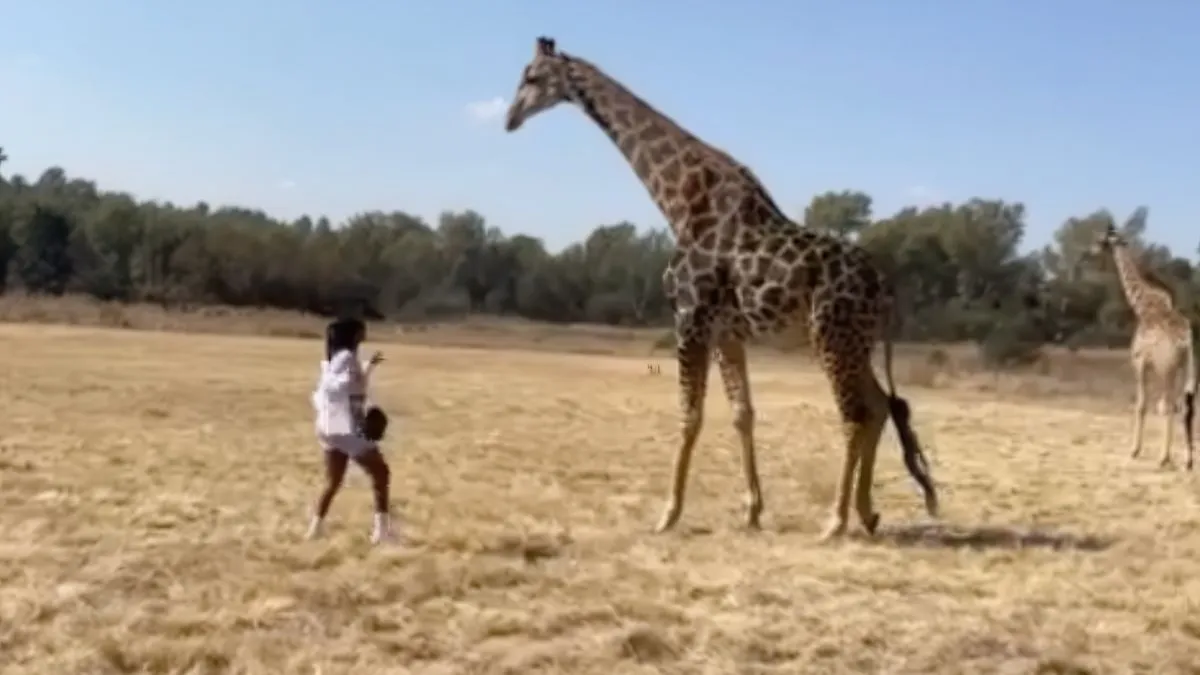 thumb db groeten van giraf gaat verkeerd