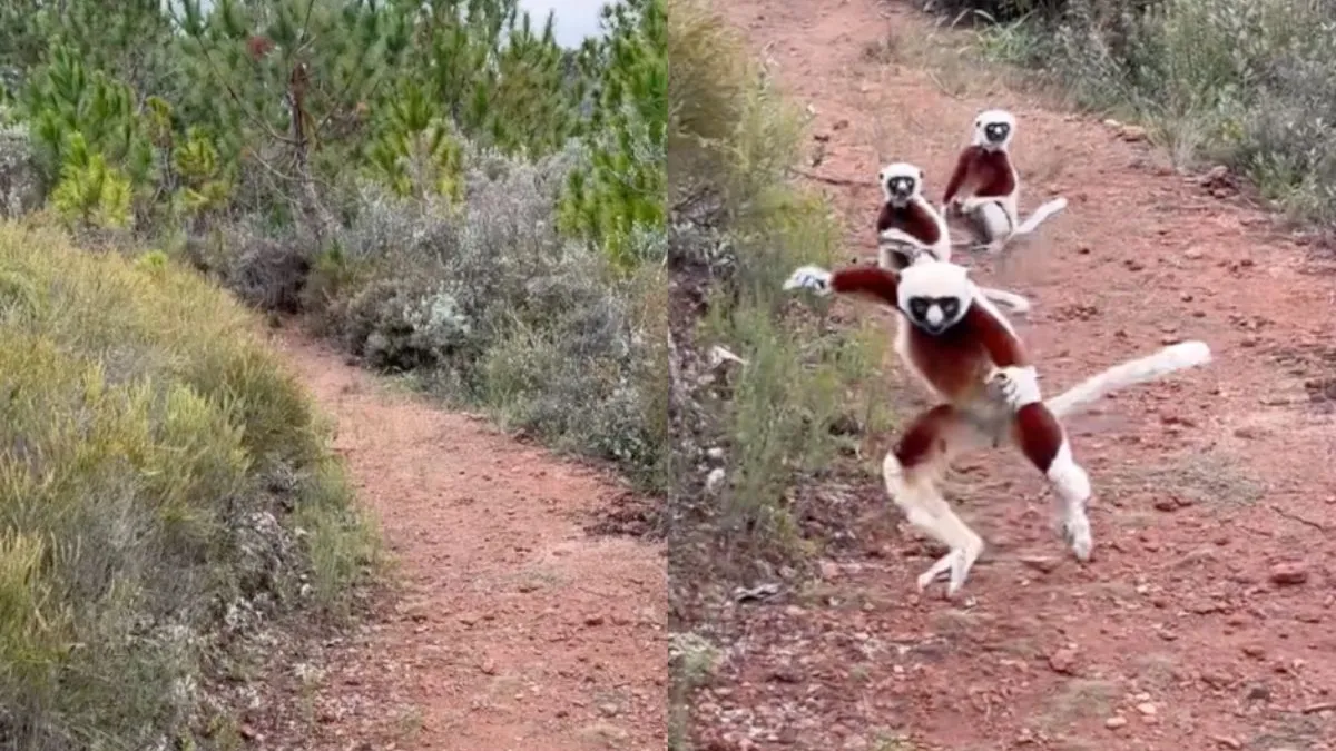 thumb kroe kroe kroe