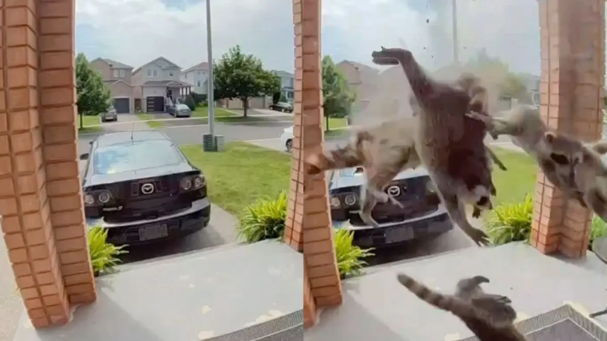 thumb regent wasberen