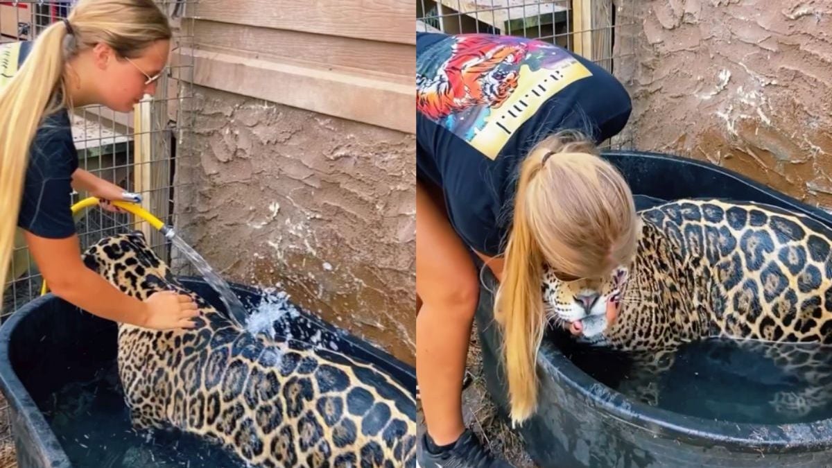 Samantha moest even haar gigantische poes wassen