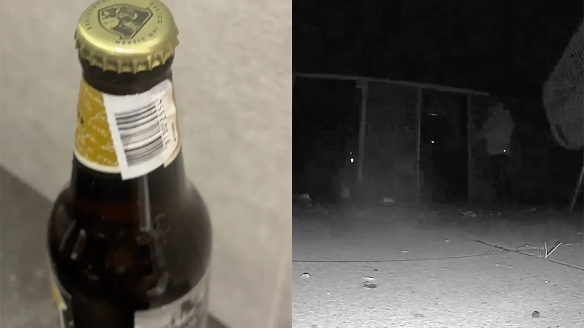 thumb vk bierdief te grazen genomen steelt geen koude pils maar zure pis