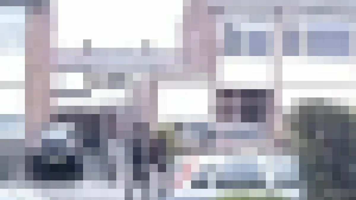 thumb vk bizarre video uit oss schutter loopt langs huis en haalt aantal keren de trekker over 2