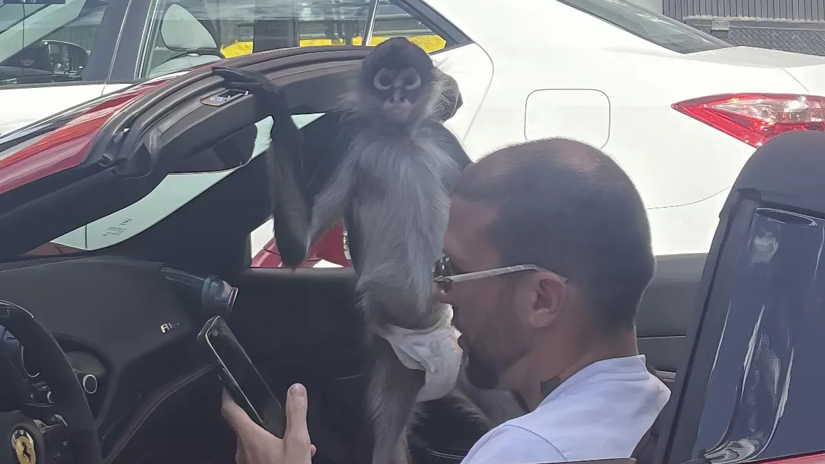 thumb vk gewoon fotos 1922