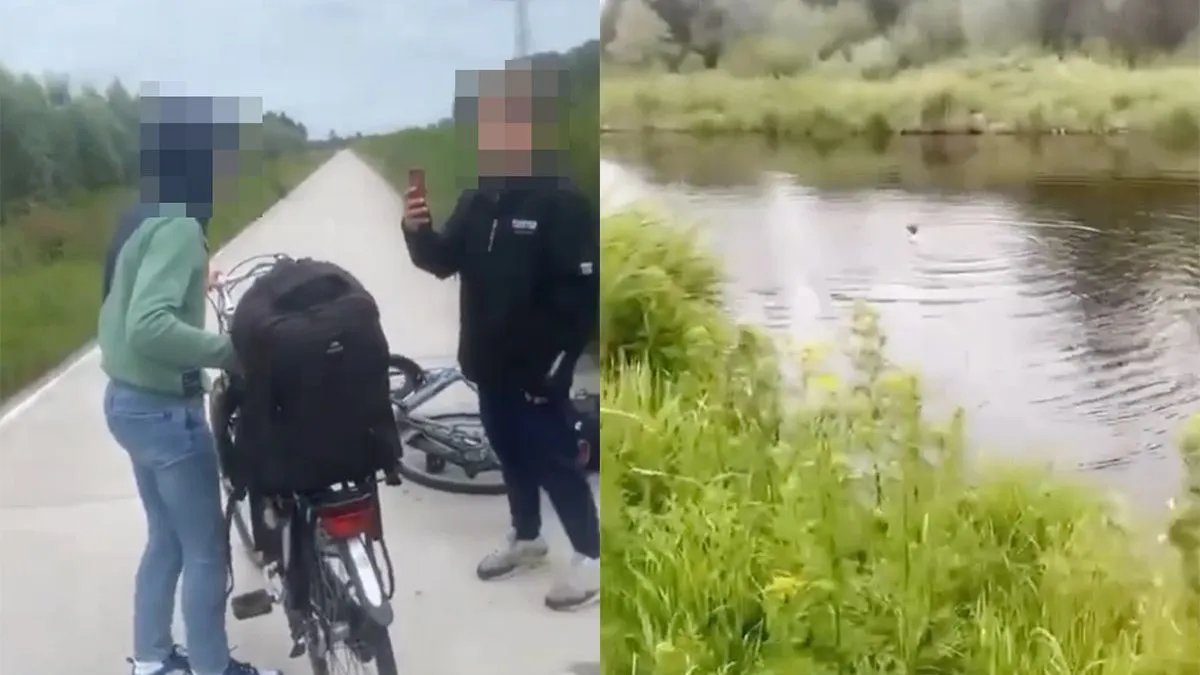 thumb vk mannetje dat ander mannetje intimideert vindt het echt niet leuk dat zijn mobiel in het water ligt