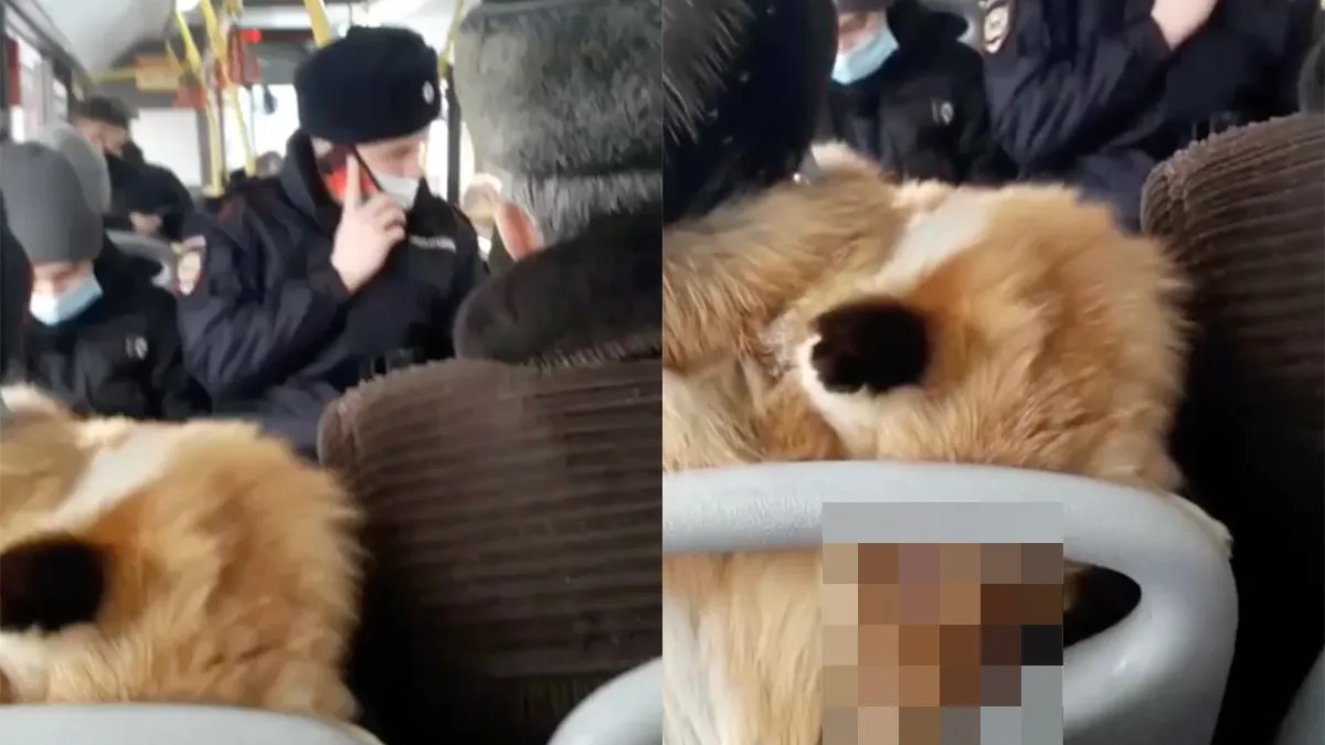 thumb vk mooie jas kerel nu hopen dat ie wel dood is