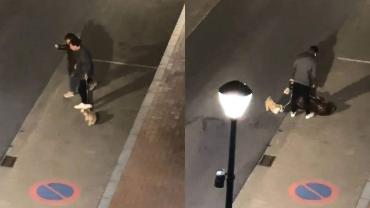 thumb vk na een avondje tanken in een belgische kroeg is thuis komen een hele opgave