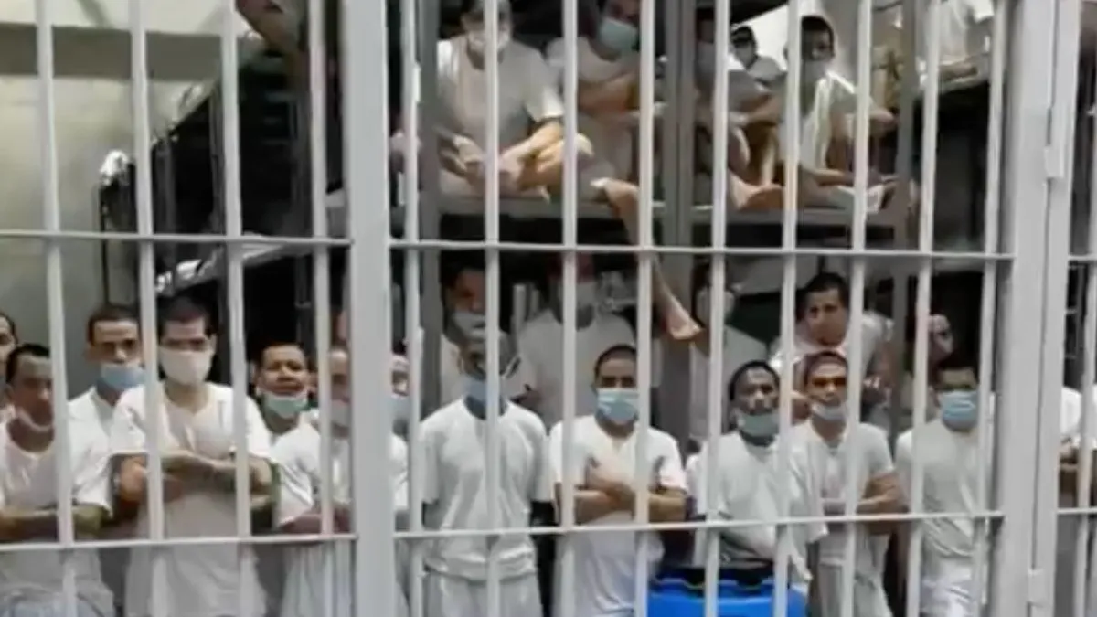 scherm afbeelding 2024 07 31 om 191021