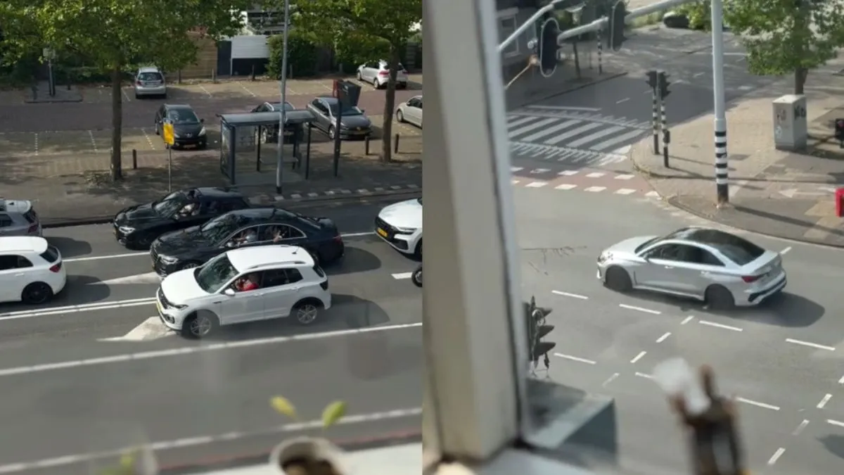 thumb grote blij zaandam