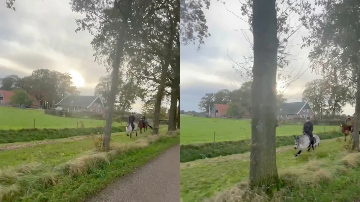 thumb vk ruiter heeft hoofdpijn maar eet s avonds wel een lekker frikandelletje