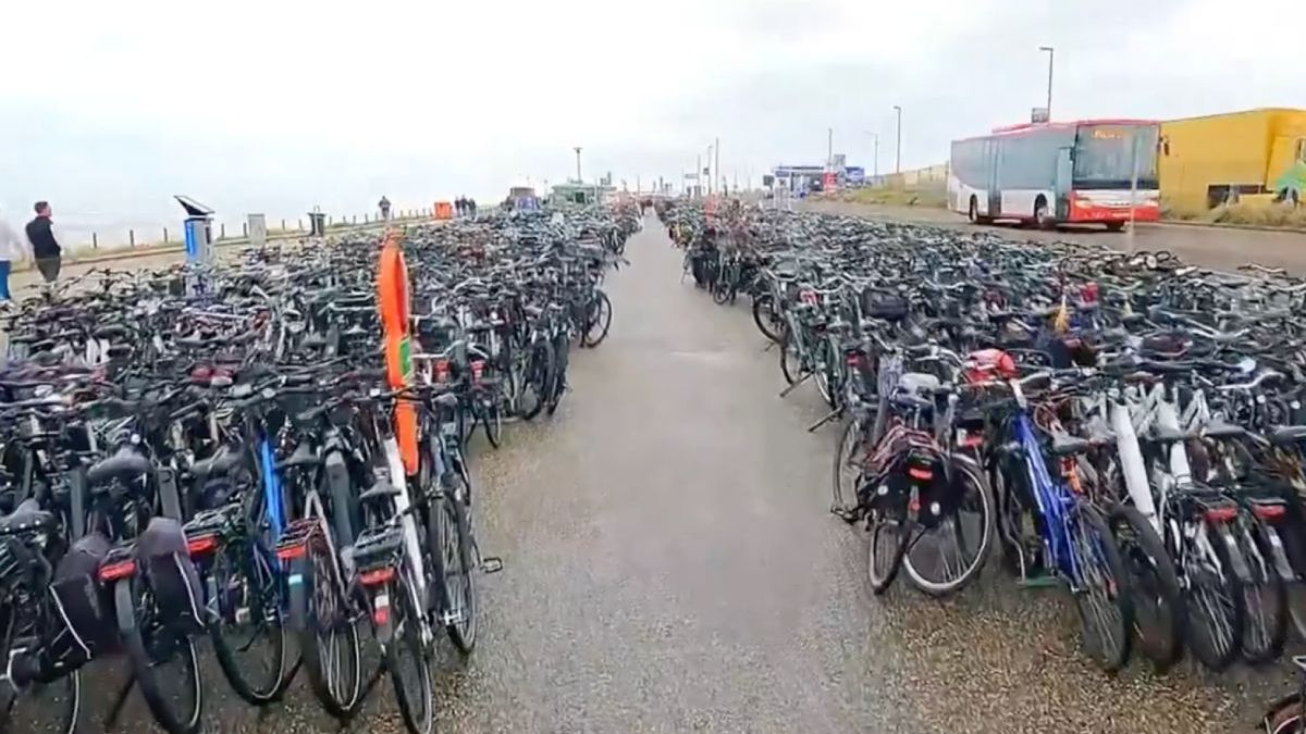 Fiets toch wel een populair vervoermiddel tijdens Formula 1 Dutch Grand Prix