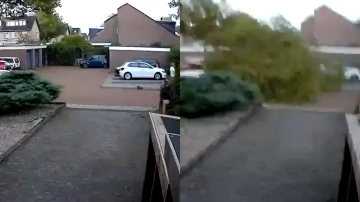 thumb meppel mooi zooitje