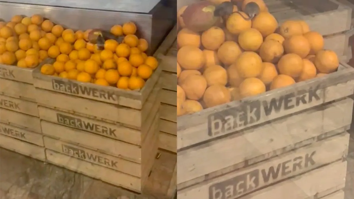 thumb vk dus jij haalt elke dag een verse jus d orange op centraal station rotterdam