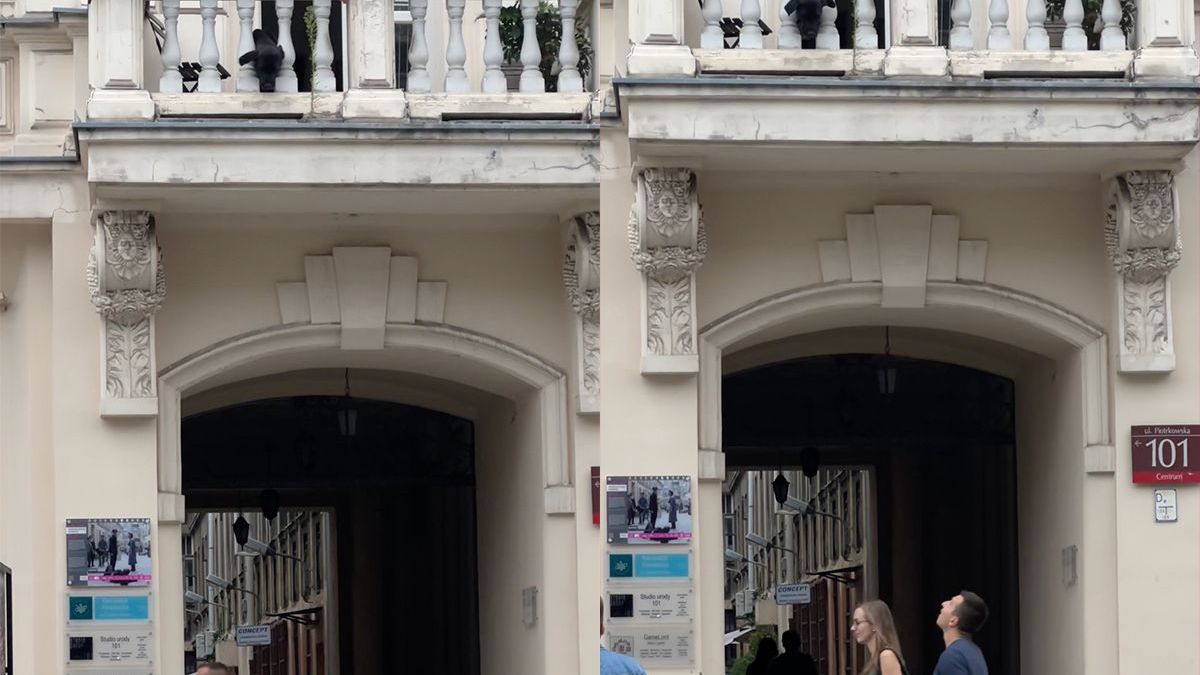 Hond op het balkon wil graag spelen, dus gooit hij ballen naar voorbijgangers