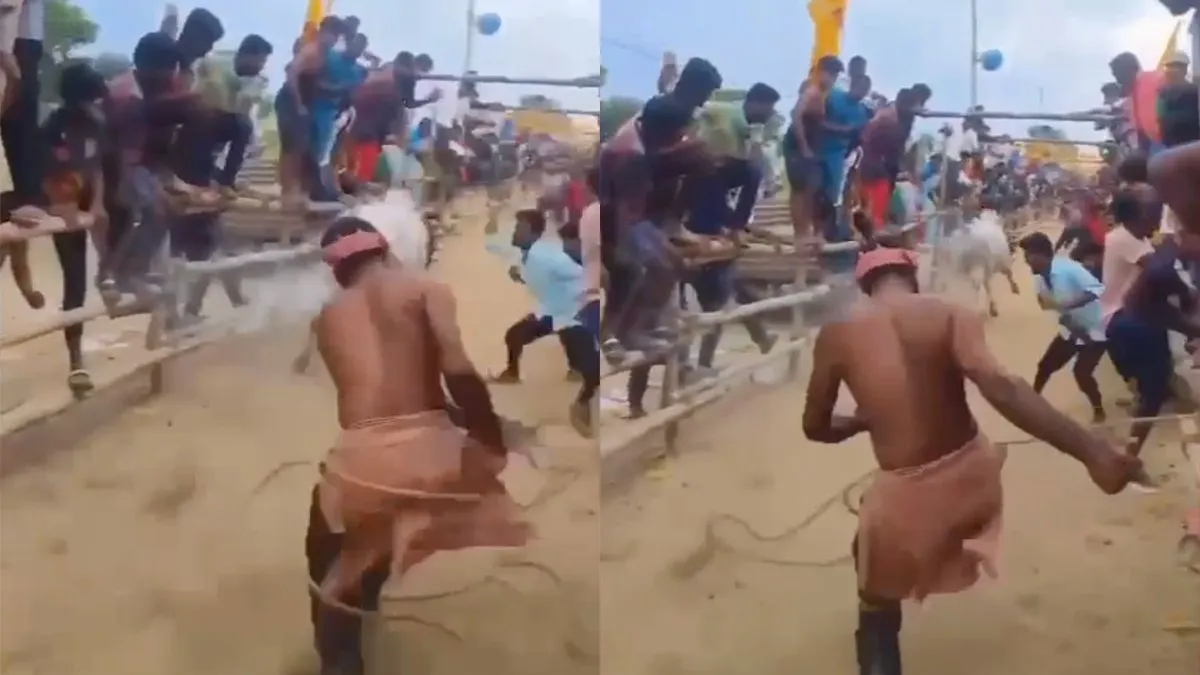 thumb vk je denkt wel twee keer na voordat je bij geitenrennen gaat kijken