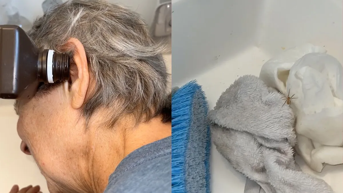 thumb vk je oren zijn geen hotel voor insecten dus spin wordt uit oor gezet