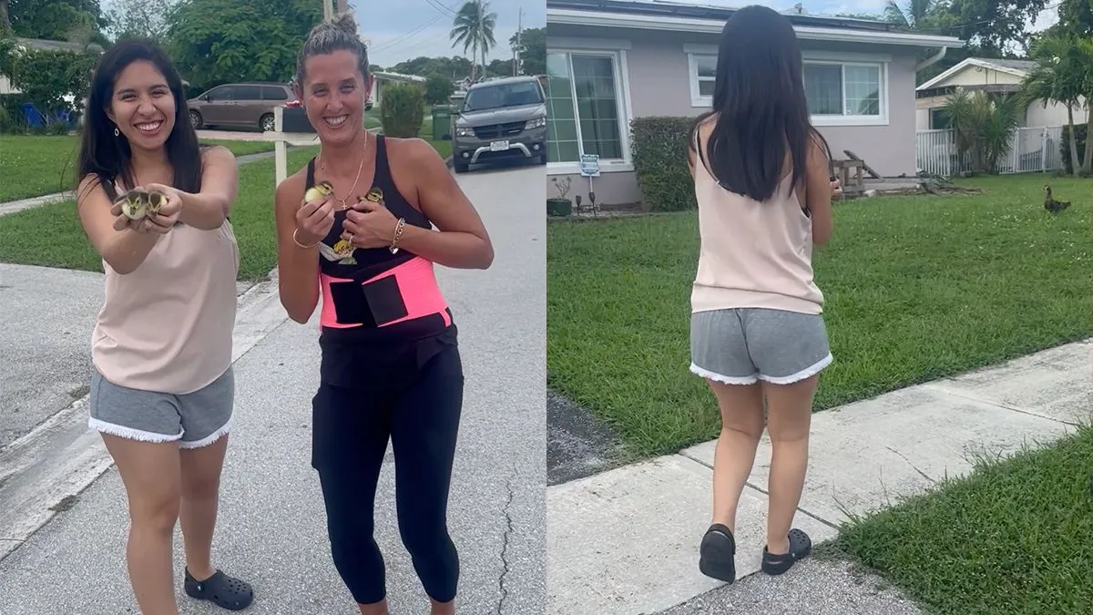 thumb vk meiden willen eendjes helpen maar dat gaat niet helemaal goed