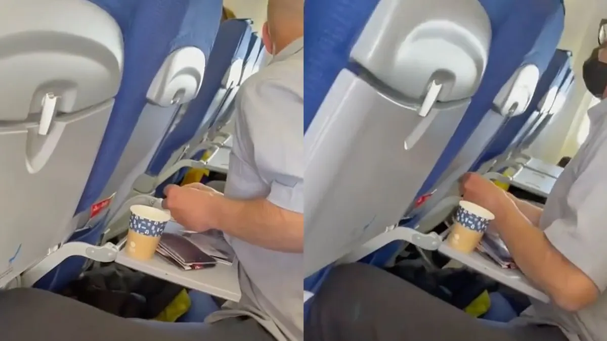 thumb vk snuifduif aan boord van vliegtuig uit nederland richting engeland