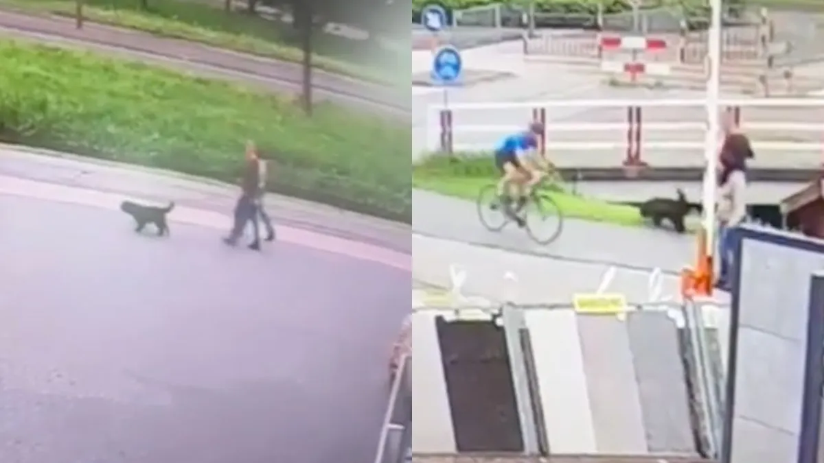 thumb vk wielrenner gezocht rijdt vrouw aan en rijdt door