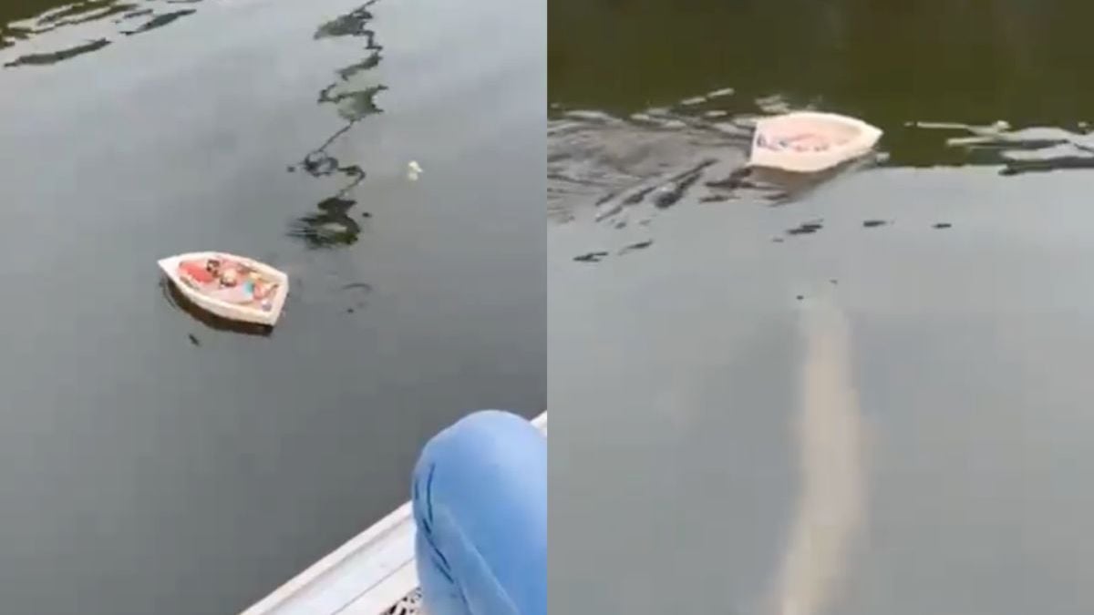 Toch een soort van Jaws tijdens het varen met het speelgoedbootje