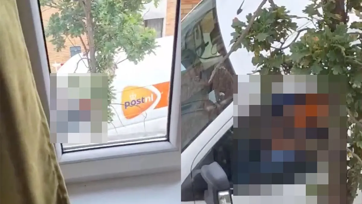 thumb vk bezorger geeft geen ruk dat pakjes later komen en geeft er een slinger aan