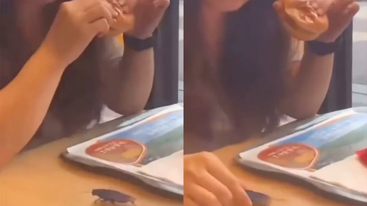 thumb vk kakkerlak in restaurant gevonden maar dat is gelukkig zo opgelost