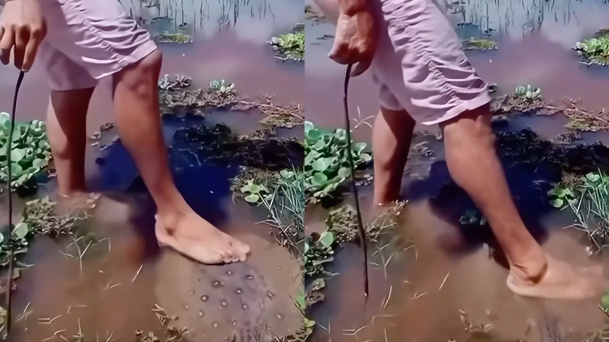 thumb vk man staat op stingray staan en heeft daar heel snel spijt van
