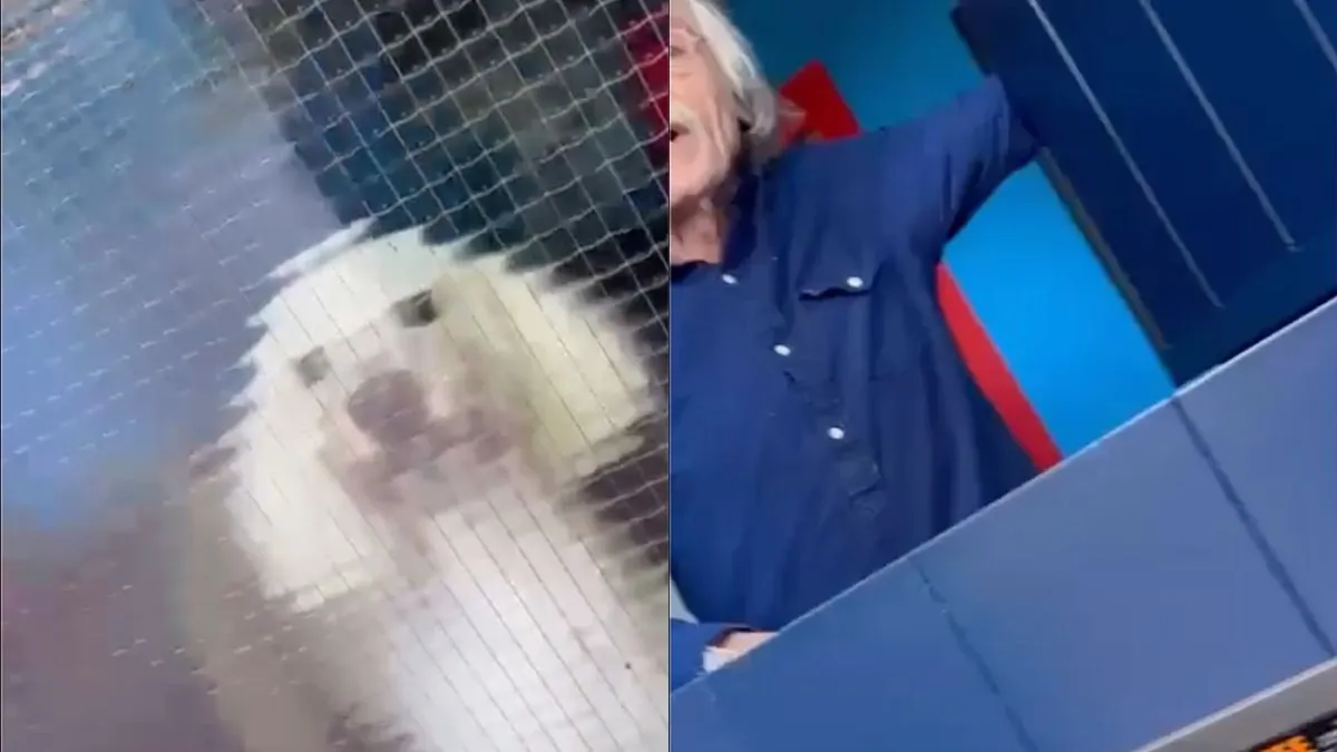 thumb vk meneer van woonwagenkamp komt johan derksen thuis opzoeken na uitspraak in vandaag inside