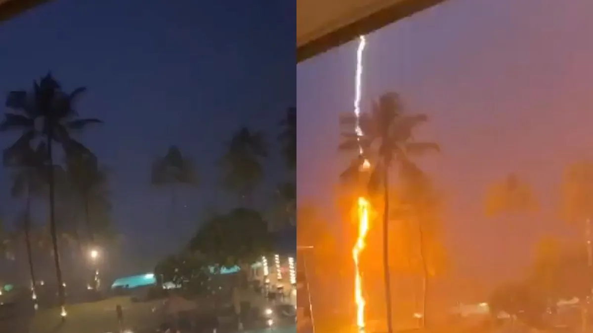 thumb vk nederlanders op vakantie in sri lanka leggen vast hoe bliksem in boom slaat
