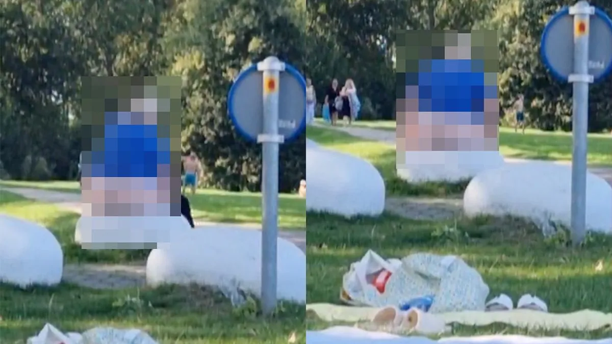 thumb vk oke genoeg internet voor vandaag volle maan in het park
